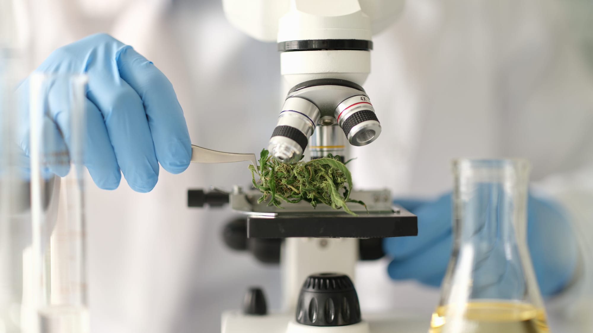 Laboratory tests as a guarantee of quality